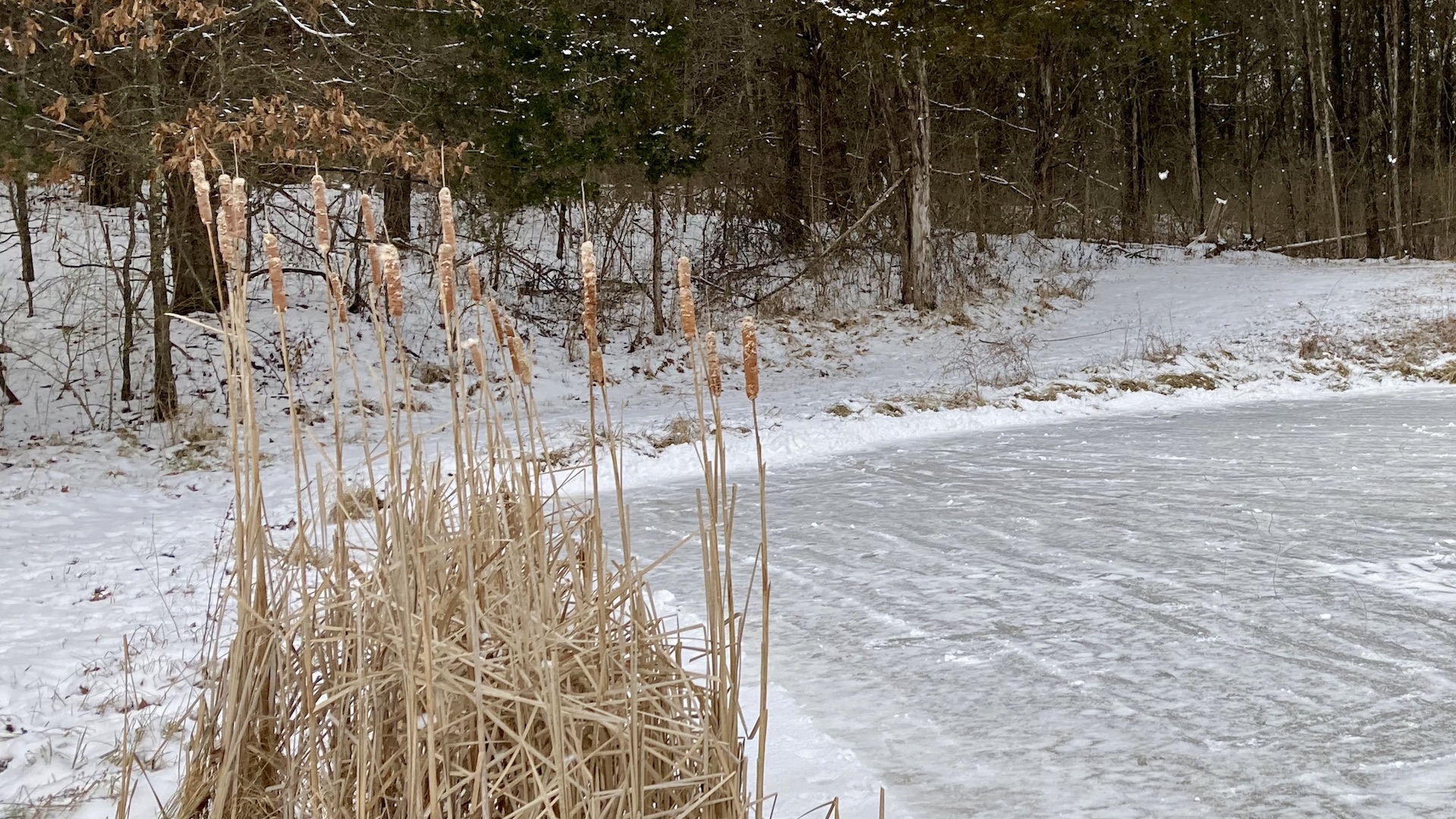 Winter Projects: Fish Habitat Installation 